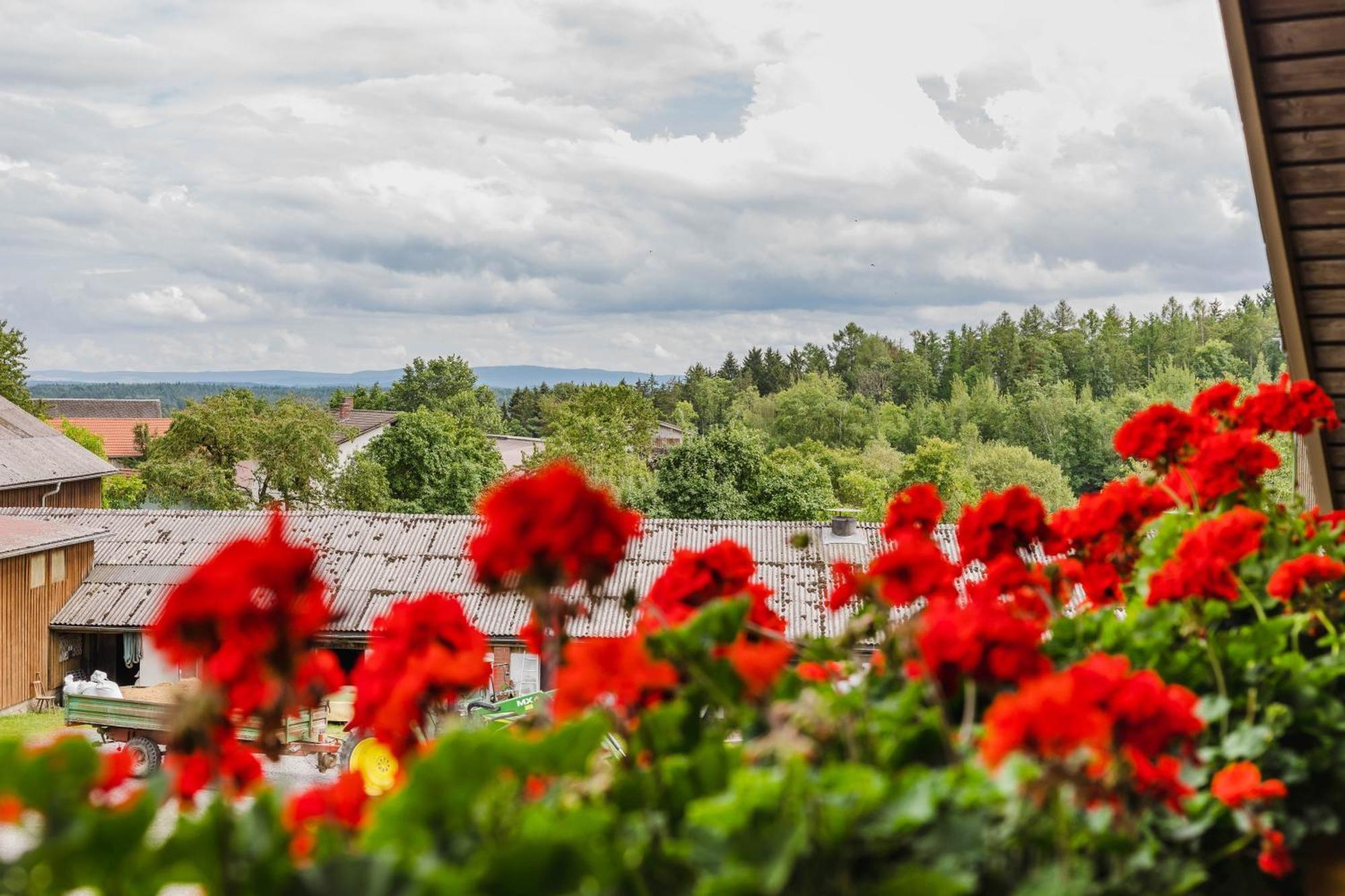 Ferienwohnung Baecher Wiesau Bagian luar foto