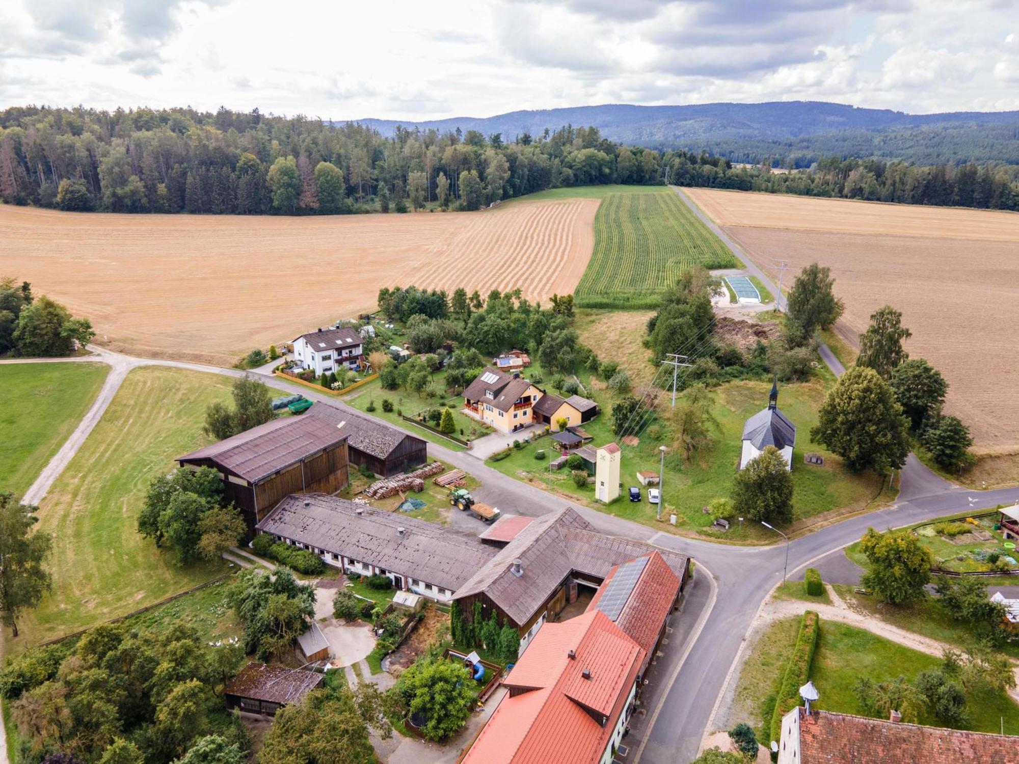 Ferienwohnung Baecher Wiesau Bagian luar foto